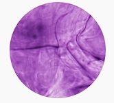 워드프레스 시작하기: 블로그 개설부터 첫 글 발행까지 완벽 가이드